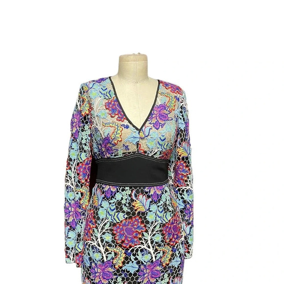 Diane von Furstenberg Long-Sleeve Banded‎ Overlay Lace Midi-Length Dress Size 0 - Picture 3 of 15